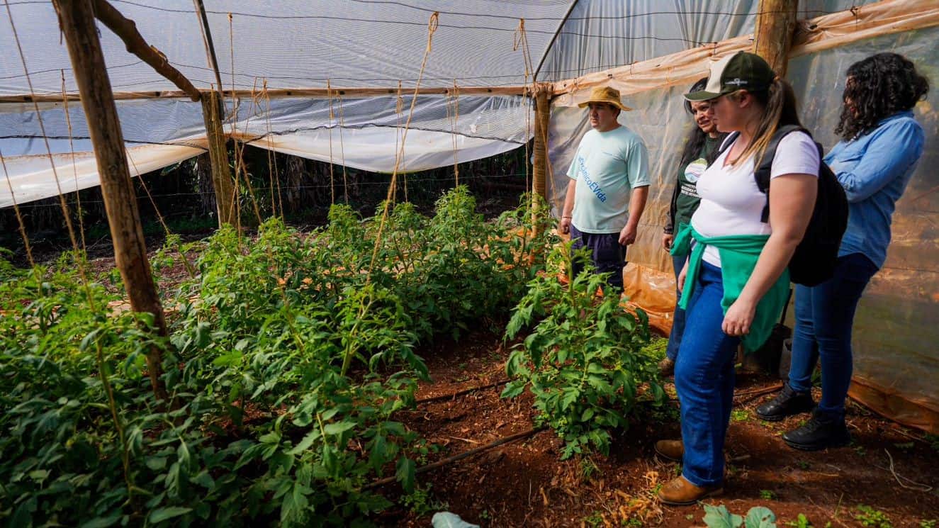 cursistas do trilha de aprendizagem sobre agricultura orgânica 