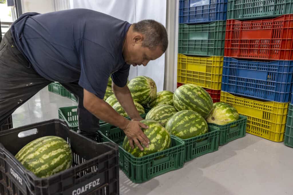 Do campo para a mesa, produtores da Aproffoz preparam box para abertura neste sábado (15)