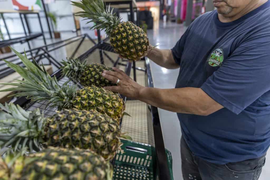 Frutas, verduras e legumes estarão entre os produtos comercializados